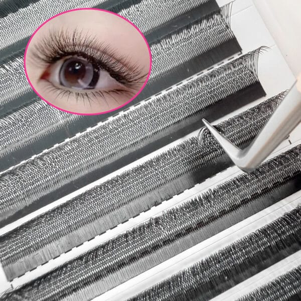 Wholesale Premade Volume Fans 3D 4D 5D 6D W Shape YY Eyelash Extensions Professional Lash Supplies
