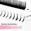 Wholesale Wet Effect Eyelash Extensions | Pre-made Spiked Fans for Lash Artists | Private Label Available