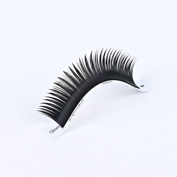Wholesale Wet Effect Eyelash Extensions | Pre-made Spiked Fans for Lash Artists | Private Label Available
