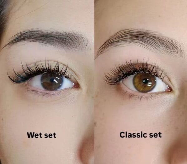 Wholesale Wet Effect Eyelash Extensions | Pre-made Spiked Fans for Lash Artists | Private Label Available