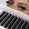 Wholesale Camellia Multi-Curl Self-Layering 5D Messy 3D Natural New Grafting Easy Fan Lashes Extensions For Professional Salon