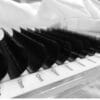 Screenshot Wholesale Matte Black Classic Eyelash Extension Custom Logo Professional Salon Supplies