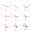 Wholesale Pointy Base Premade Volume Fans - Sharp Stem Loose Fan Lashes 3D/5D/6D/8D/10D/12D For Russian Volume Extensions