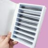 带内衬 Big capacity loose fans 1000+ count in mega tray packaging - Yi Beauty Eyelash Factory.