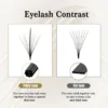 Wholesale 7D Wispy Premade Lash Fans Korean PBT Fiber Customized Labels