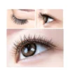 Premium Matte Clover Lashes - Single Y-Shape Volume Eyelash Extensions Customizable OEM/ODM