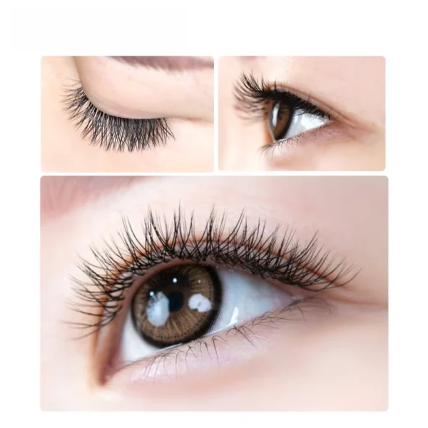 Premium Matte Clover Lashes - Single Y-Shape Volume Eyelash Extensions Customizable OEM/ODM